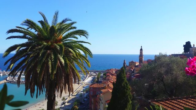 Beautiful View of the Old Town of Menton and a Palm Tree