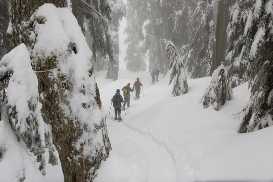 People snowshoeing in mountain at mount seymour provincial park in north Vancouver British Columbia Canada