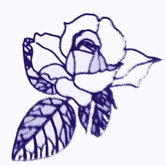 Hand-drawn Rose in Retro style.