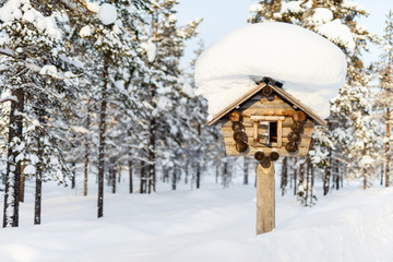Fototapeta premium Winter landscape