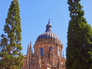 Catedral de Salamanca
