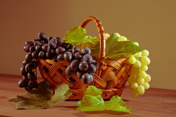 still life fruit basket