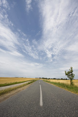 Strada di campagna