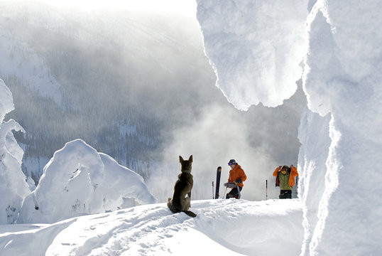 Two skiers and a dog getting ready for a fine backcountry run down the Whaleback, Nelson, British Columbia