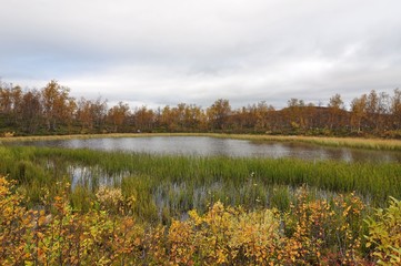 Fototapeta na wymiar Autumn in Finland 