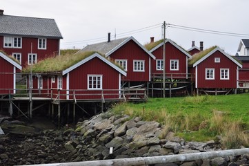Fototapeta na wymiar Reine is a fishing village and the administrative center of the municipality of Moskenes in Nordland country, Norway.