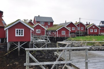 Reine is a fishing village and the administrative center of the municipality of Moskenes in...