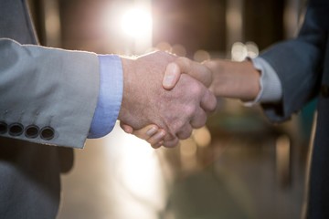 Businessman shaking hands with colleague