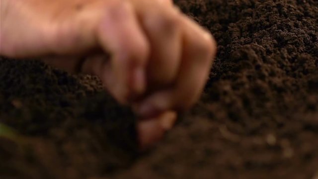 Hand of an elderly woman throwing seeds in the ground. Female hand makes the groove, and then throws in it seeds. Planting seeds in spring. Future concept. Slow motion.