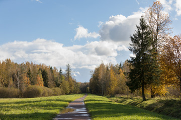 autumn landscape Old park in the town of Pushkin, Russia autumn