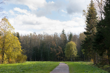 Fototapeta na wymiar sunny day and pathway in the park Old park in the town of Pushkin, Russia autumn