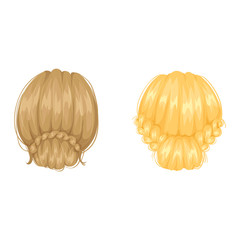 Vector woman hairstyle back view