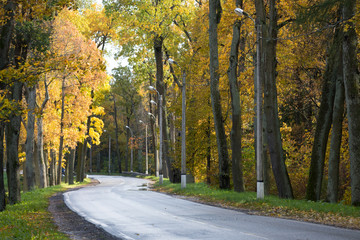 Obraz premium autumn road Old park in the town of Pushkin, Russia autumn
