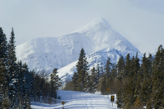 Bellevue Hill with Mount Galwey in background as viewed from Highway 6. Highway 6 leading to the United States border is not plowed in winter since the border crossing is closed at that time of year. Waterton Lakes National Park, southwest Alberta, Canada.