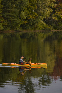 Young man kayaking with dog on Gull Lake near Gravenhurst, Ontario, Canada.