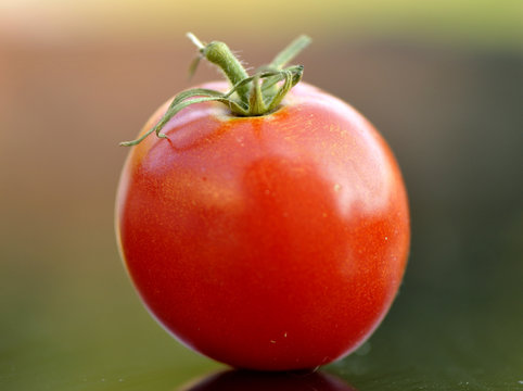 Tomate Fandango