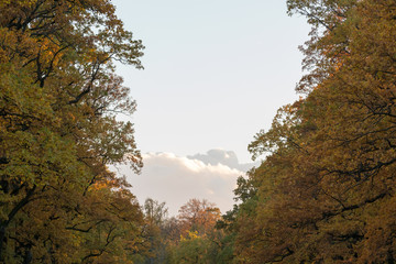 Autumn trees and sky in the park