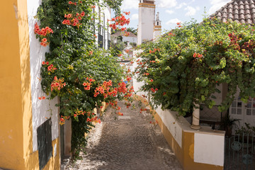 Fototapeta na wymiar Street with flowers in Obidos, a medieval town in Portugal