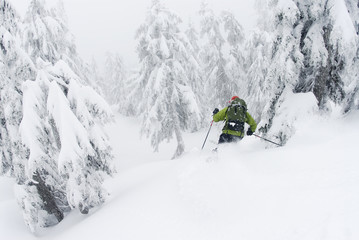 man skis down Hollyburn Mountain. Cypress Bowl, West Vancouver, British Columbia, Canada.
