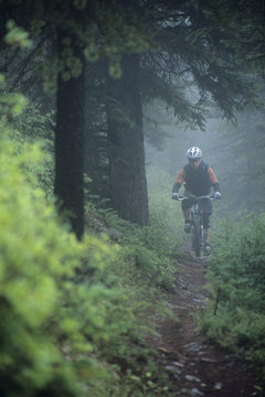 Man mountain biking on forest trial, Jasper National Park, Alberta, Canada.