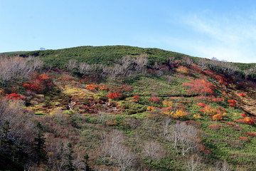 紅葉する銀泉台