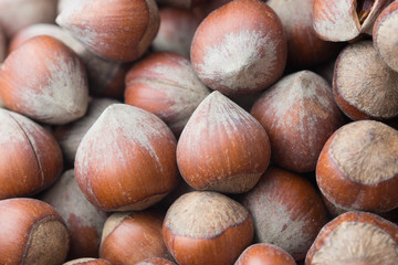 Haselnuss - Haselnüsse