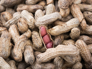moldy steamed peanut with nutshell