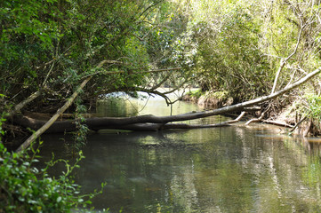 Rio Iapó