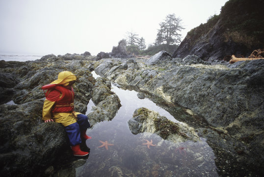boy looks into tidepool in rain, Vancouver Island, British Columbia, Canada.