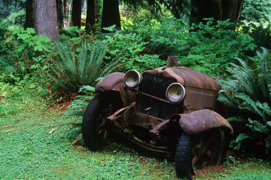 Sayward - rusted antique car at Cable House cafe, Vancouver Island, British Columbia, Canada. 