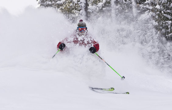 Bearded man skiing deep powder at Fernie Alpine Resort, Fernie, BC, Canada.
