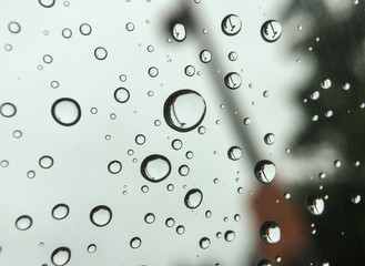 Drops of rain