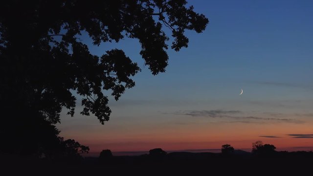 ambient twilight landscape horizon with silhouette of Oak Trees: Midlands, England: October 2016