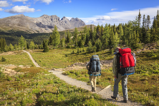 Two back packers hike the Citadel Pass trail from Sunshine Meadows along the Great Divide in Banff National Park, Alberta, Canada. Model Released