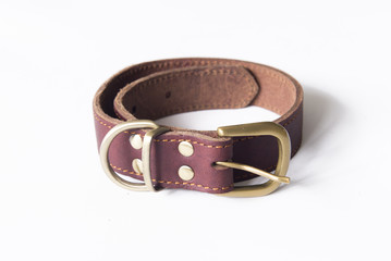 Pet Dog Collar