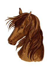 Horse head sketch of brown racehorse