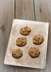 Five chocolate chip cookies on a baking sheet. Weathered wood table. 