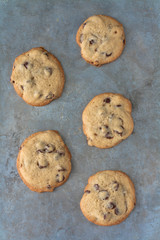Five chocolate chip cookies on a gray background 