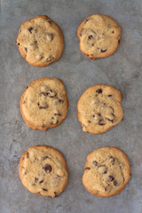 Six chocolate chip cookies on a gray background. 