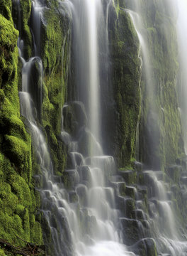 USA, Oregon, Proxy Falls - waterfall details
