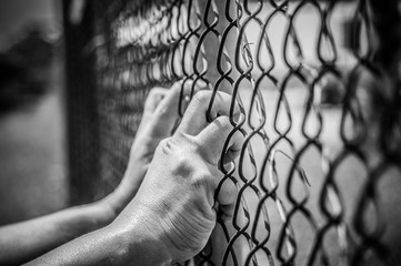 escape to freedom.