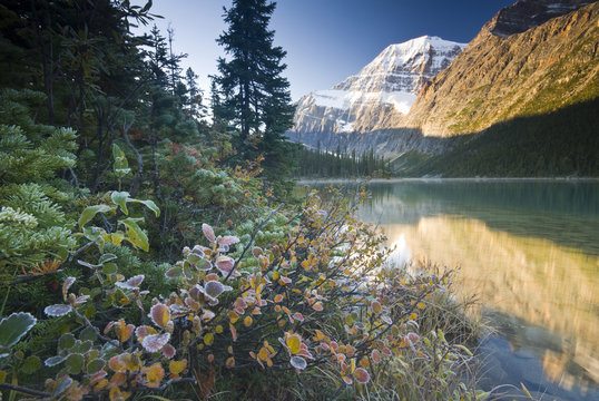Mount Edith Cavell and Cavell Lake,  Jasper National Park, Canada