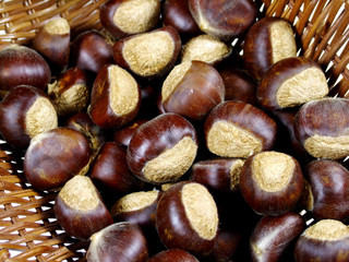 Chestnuts in a Basket