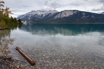 Abraham Lake Shoreline