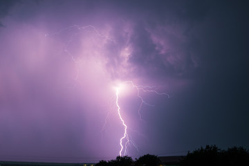 Night lightning over forest