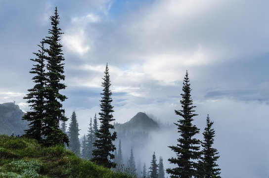 Misty, cloud strewn ridge, Deer Park, Olympic National Park, Washington, USA