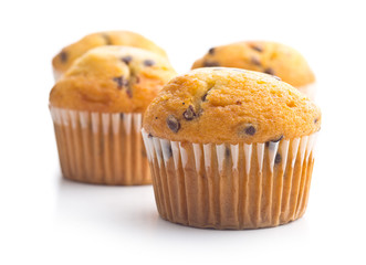 The tasty chocolate muffin.