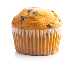 The tasty chocolate muffin.