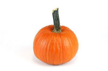 new picked pumpkin isolated on white background