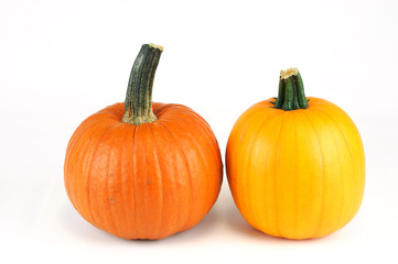 new picked pumpkin isolated on white background
